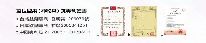 Patent Overview — All 3 Patents