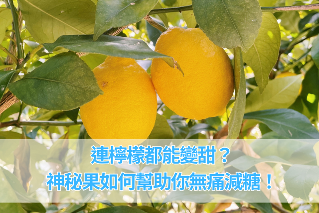 控糖小教室 連檸檬都能變甜？神秘果如何幫助你無
