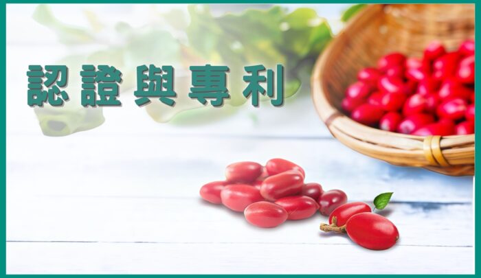 認證與專利