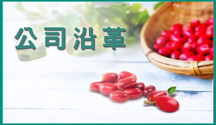 公司沿革
