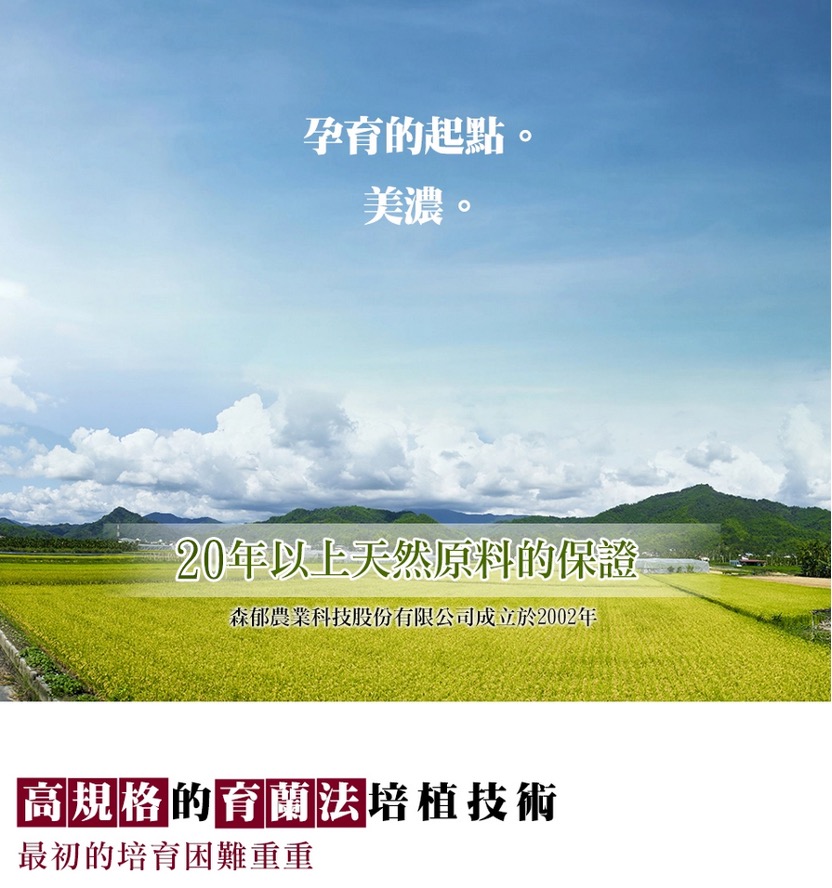 公司沿革