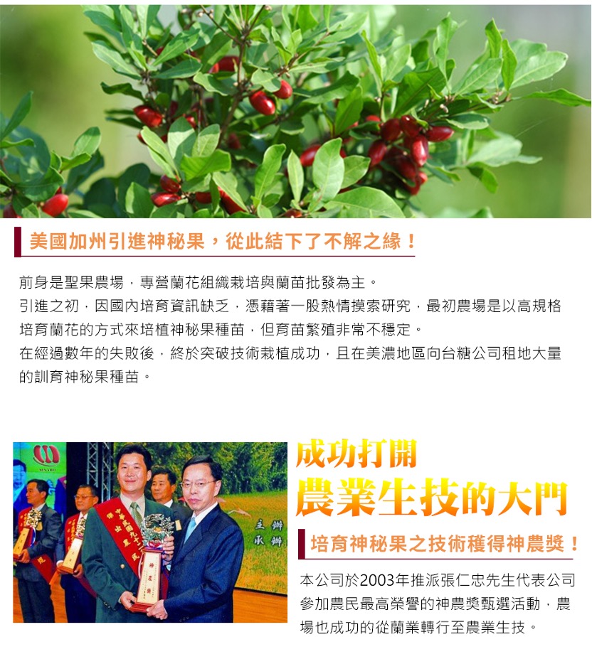 公司沿革