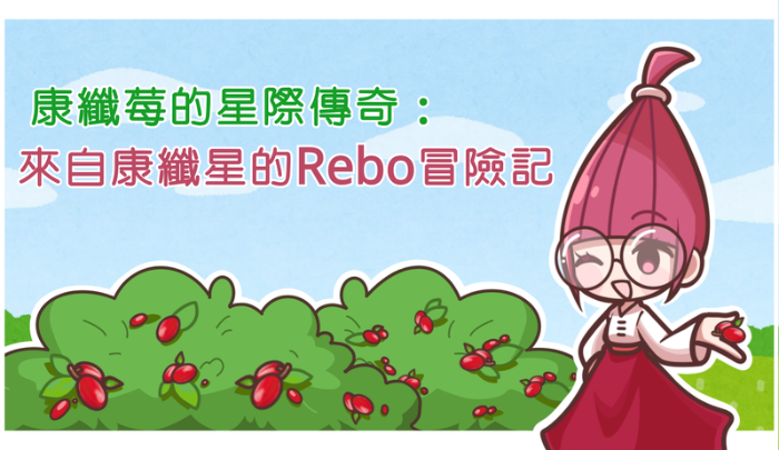 rebo的康纖日記