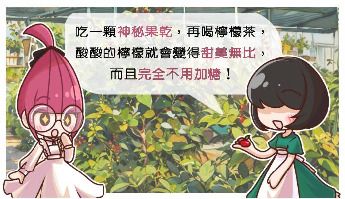 無糖=痛苦？錯！這樣吃，幸福感更高！