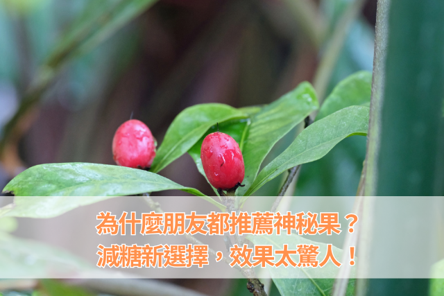 為什麼朋友都在推薦神秘果？減糖新選擇，效果太